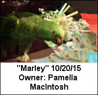 Marley