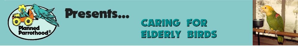 Caring for Elderly Birds
