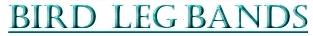 legbands